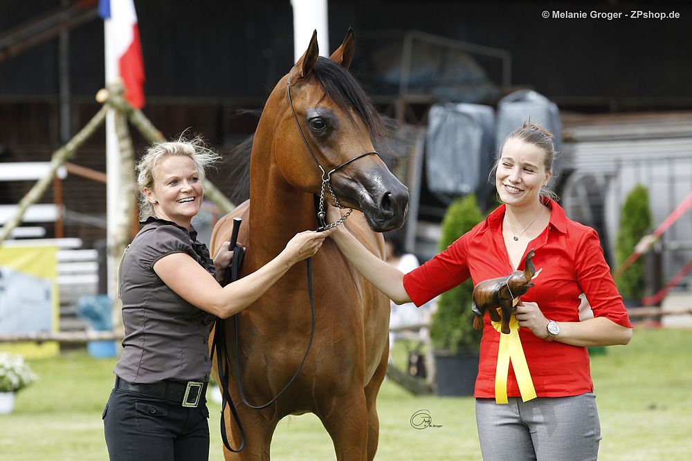 Europa C-Schau Ströhen DE - Shamaliah Junioren Bronze Championesse