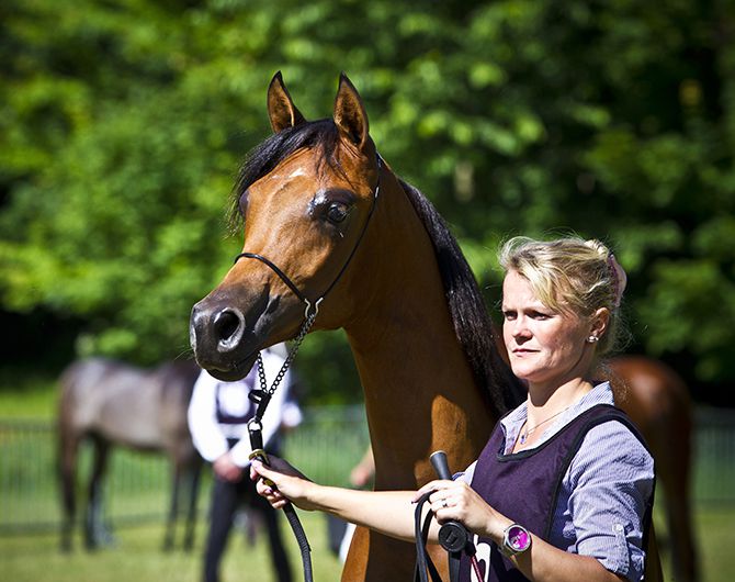 Int. C-Show Château d'Ittenwiller FR - Shamaliah Top Five