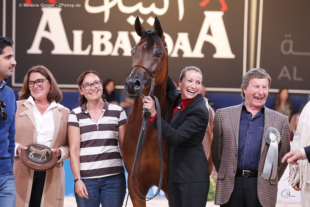 Int. Titel-Schau All Nations Cup Aachen DE - Grace J der Star in Aachen