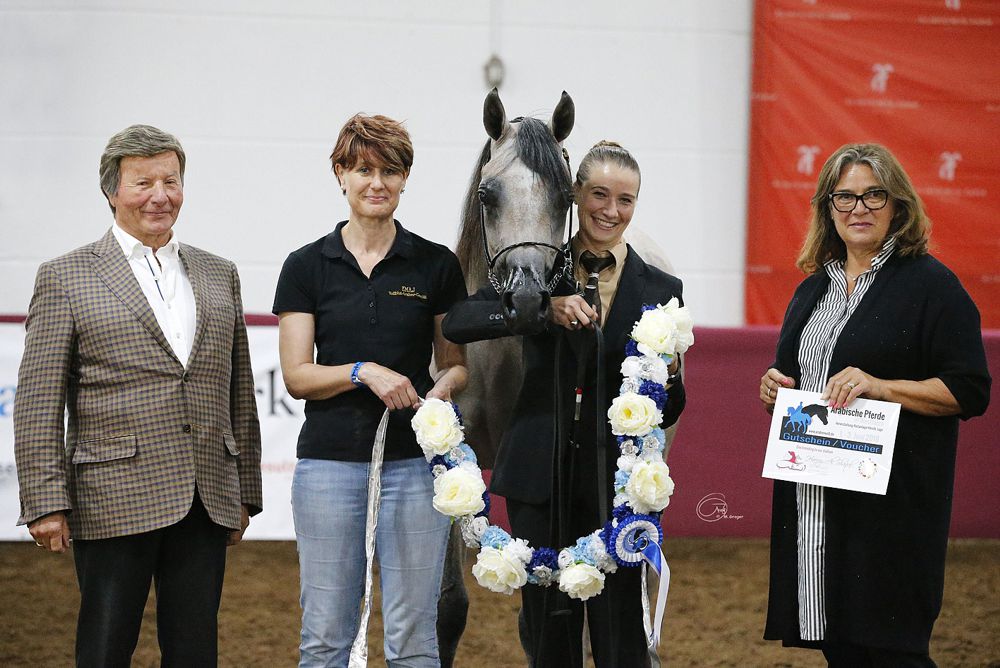 Int. C-Schau Lage-Hörste DE - Gold Champions