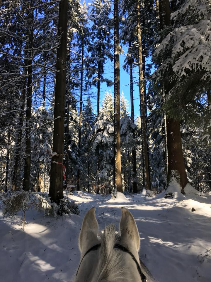 Den Winter genießen