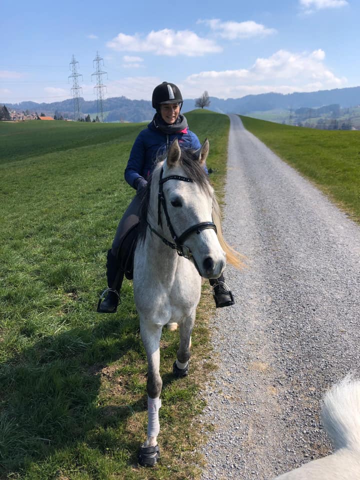 Nabucco El Perseus (QR Marc x Norah El Perseus) on his first ride