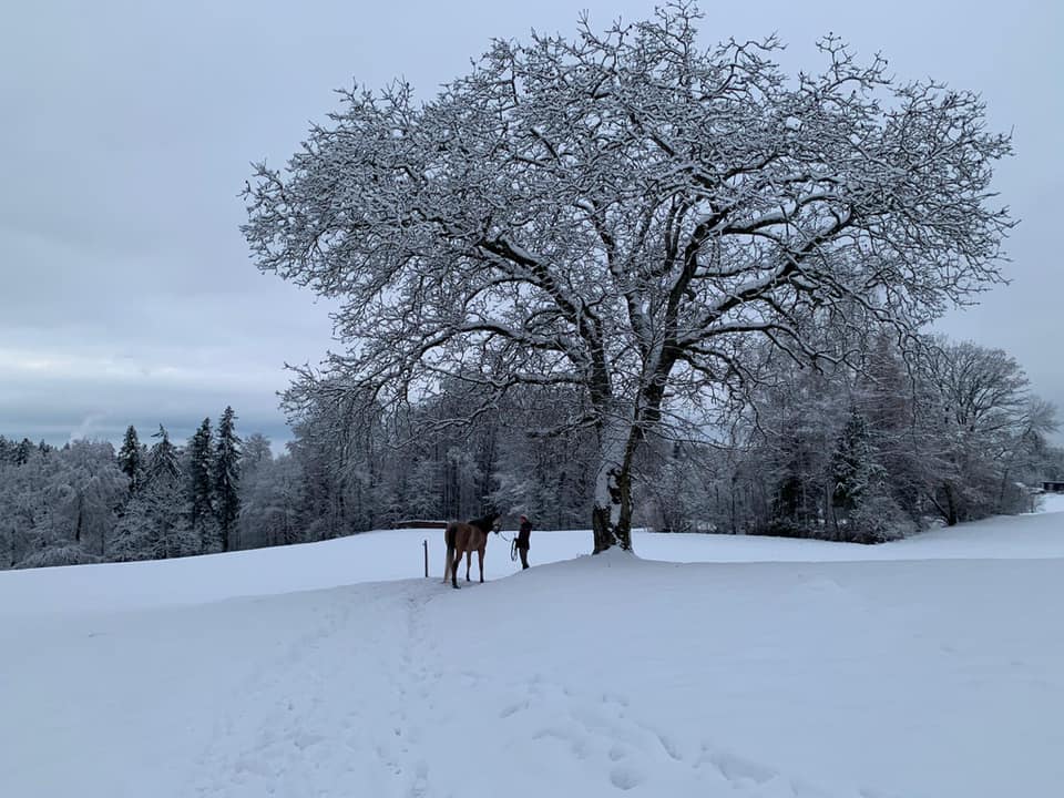 Wonderful winter landscape and fresh air