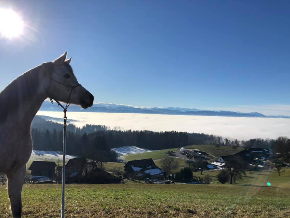 Last sunny day 2020