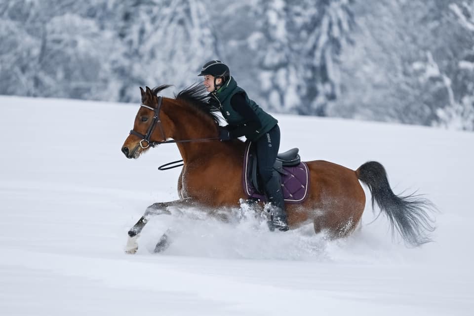 We love winter