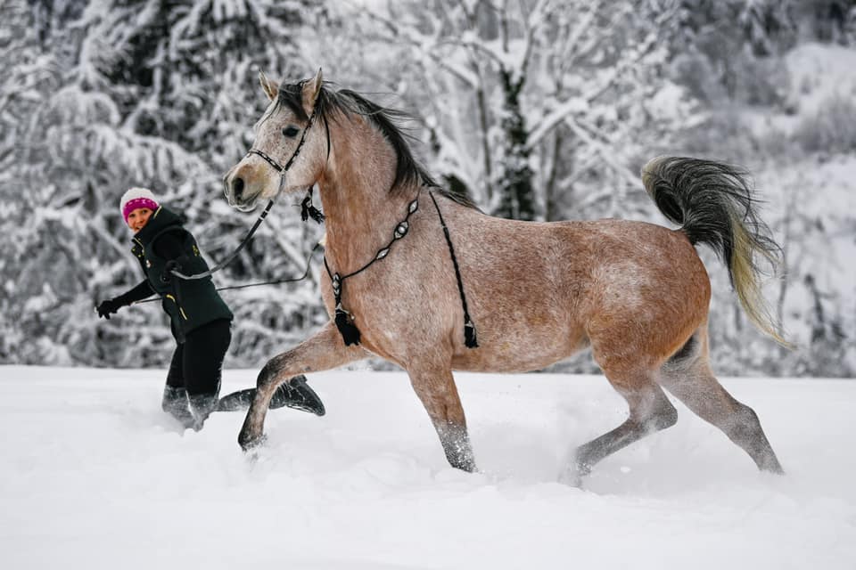 We love winter