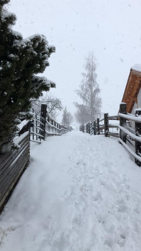 It snows and snows and snows ...